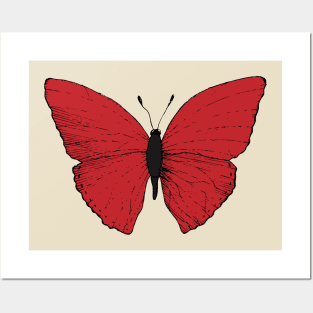 Big beautiful red butterfly. Posters and Art